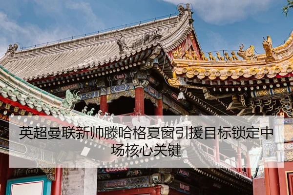 英超曼联新帅滕哈格夏窗引援目标锁定中场核心关键